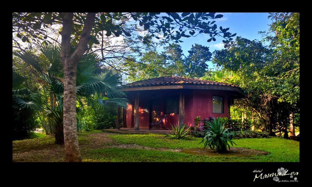 Hotel Mauna Loa Pinilla Pokoj fotografie