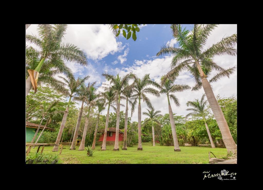 Hotel Mauna Loa Pinilla Exteriér fotografie