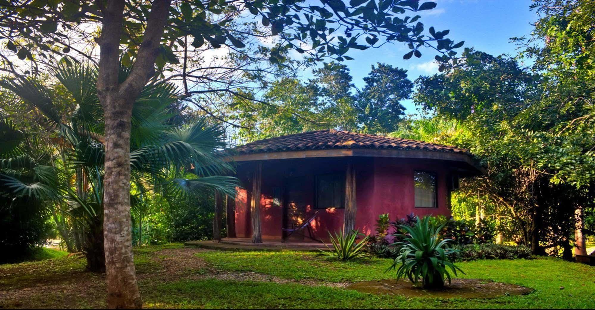 Hotel Mauna Loa Pinilla Exteriér fotografie